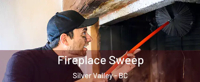  Fireplace Sweep Silver Valley - BC