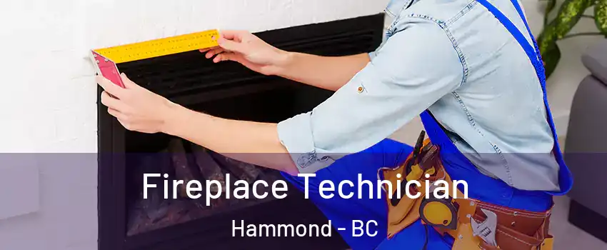 Fireplace Technician Hammond - BC