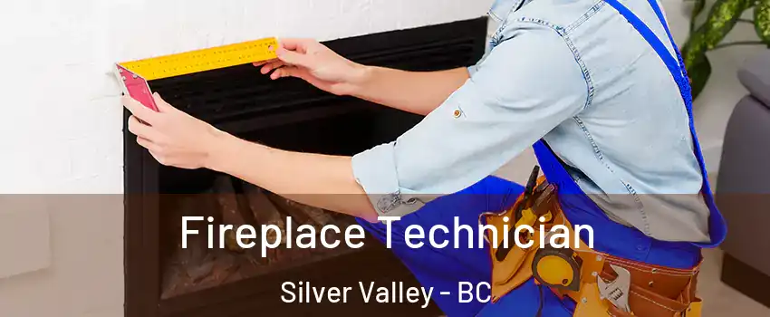 Fireplace Technician Silver Valley - BC