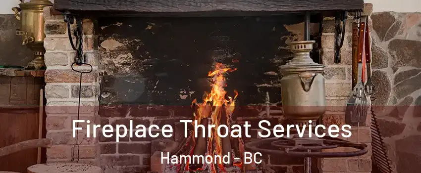  Fireplace Throat Services Hammond - BC