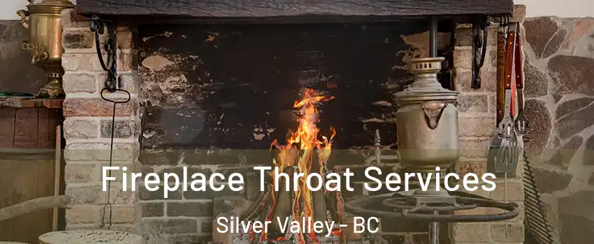  Fireplace Throat Services Silver Valley - BC