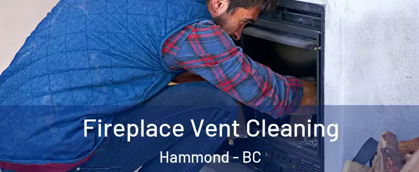  Fireplace Vent Cleaning Hammond - BC