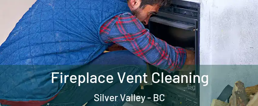  Fireplace Vent Cleaning Silver Valley - BC