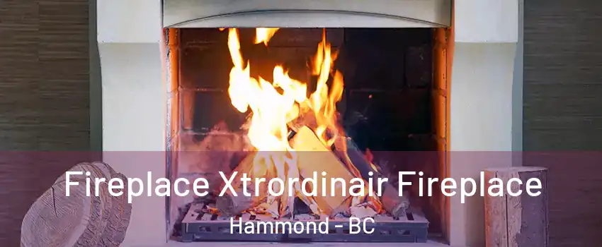  Fireplace Xtrordinair Fireplace Hammond - BC