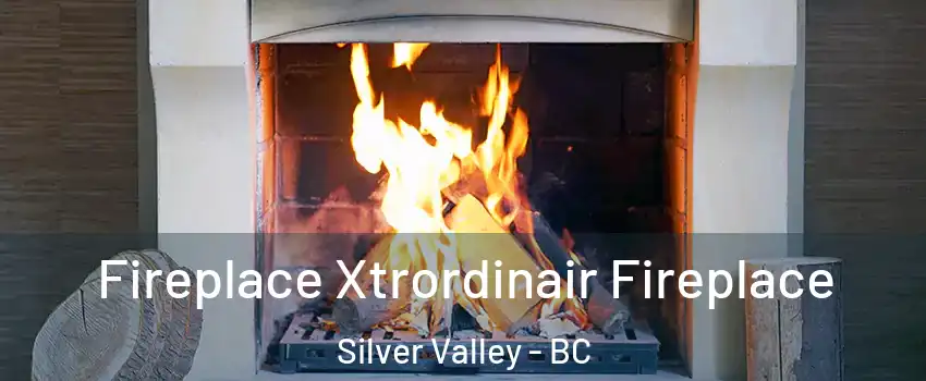  Fireplace Xtrordinair Fireplace Silver Valley - BC
