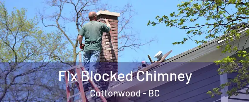  Fix Blocked Chimney Cottonwood - BC