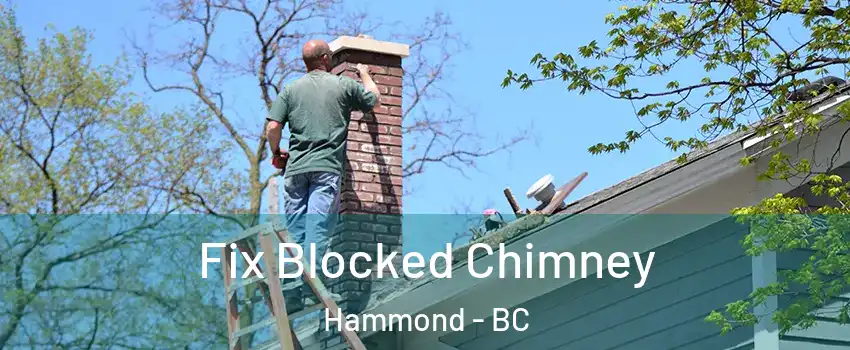  Fix Blocked Chimney Hammond - BC