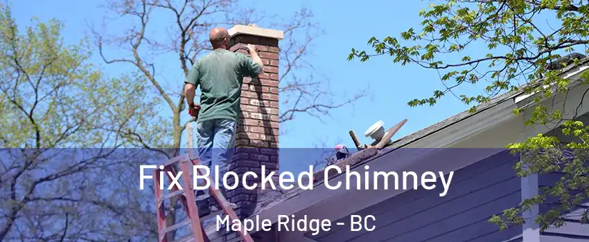  Fix Blocked Chimney Maple Ridge - BC