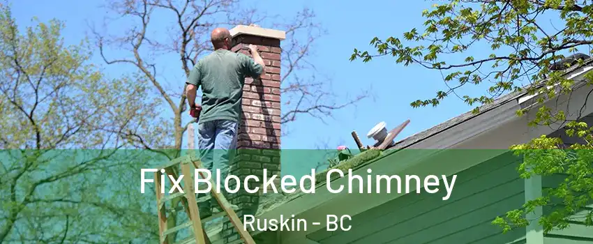  Fix Blocked Chimney Ruskin - BC
