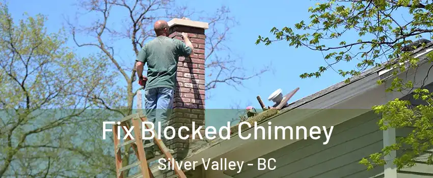  Fix Blocked Chimney Silver Valley - BC