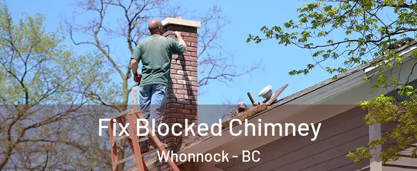  Fix Blocked Chimney Whonnock - BC