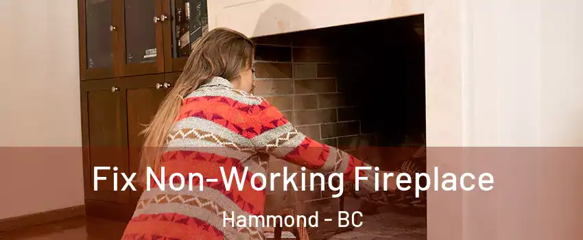  Fix Non-Working Fireplace Hammond - BC