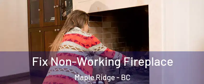  Fix Non-Working Fireplace Maple Ridge - BC