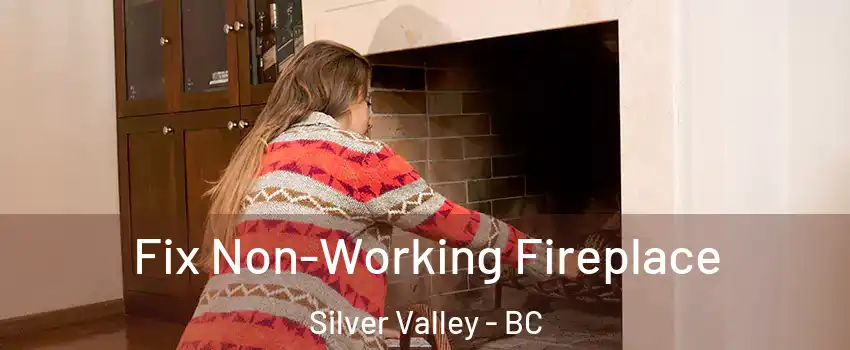  Fix Non-Working Fireplace Silver Valley - BC