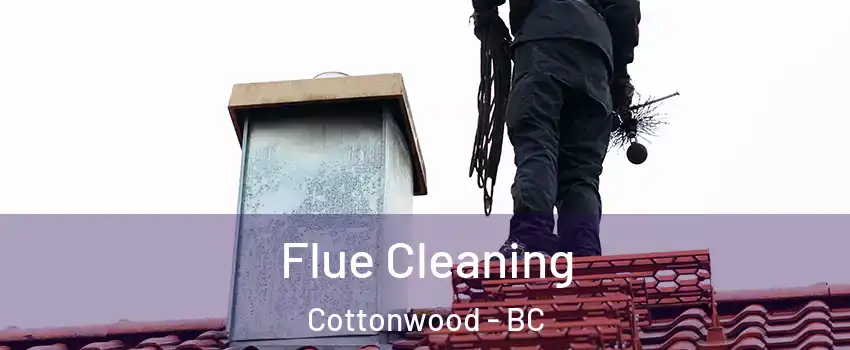  Flue Cleaning Cottonwood - BC