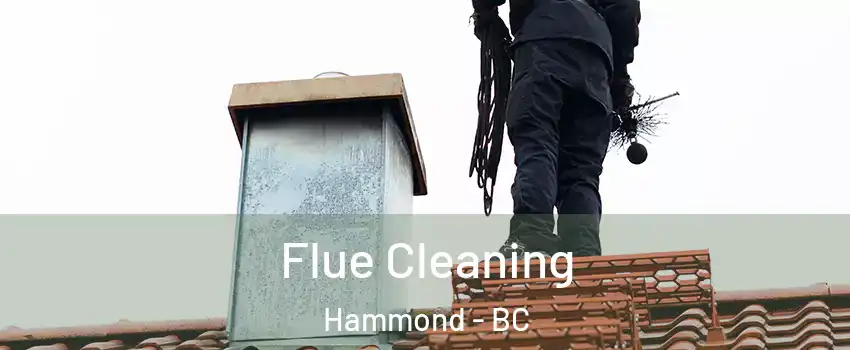  Flue Cleaning Hammond - BC