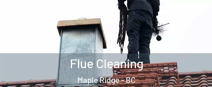  Flue Cleaning Maple Ridge - BC