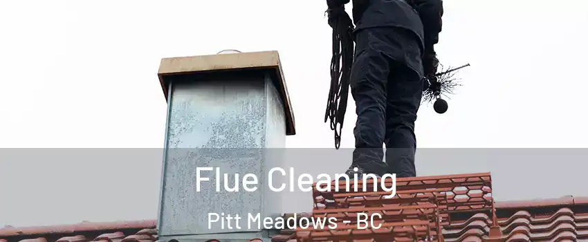  Flue Cleaning Pitt Meadows - BC