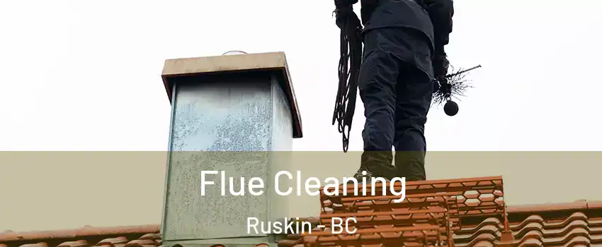  Flue Cleaning Ruskin - BC