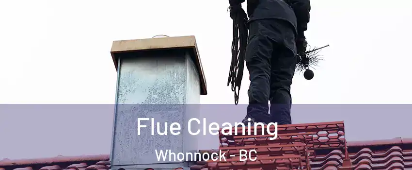  Flue Cleaning Whonnock - BC