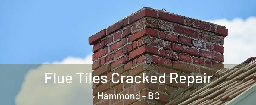  Flue Tiles Cracked Repair Hammond - BC