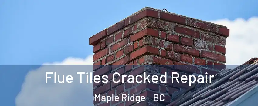  Flue Tiles Cracked Repair Maple Ridge - BC