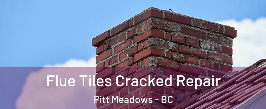  Flue Tiles Cracked Repair Pitt Meadows - BC
