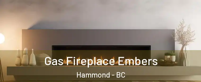  Gas Fireplace Embers Hammond - BC