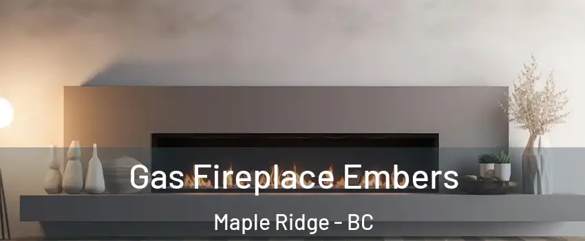  Gas Fireplace Embers Maple Ridge - BC