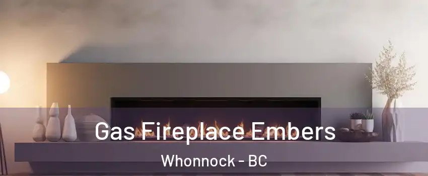  Gas Fireplace Embers Whonnock - BC