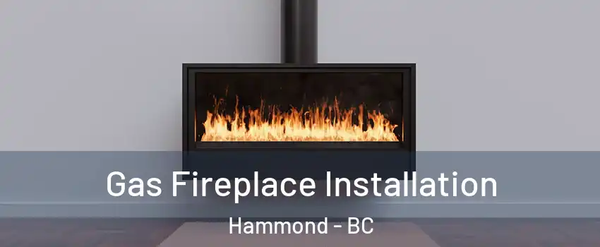  Gas Fireplace Installation Hammond - BC