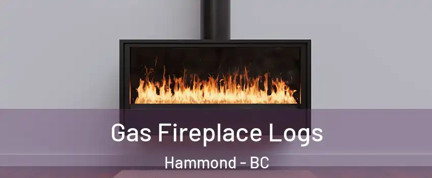  Gas Fireplace Logs Hammond - BC