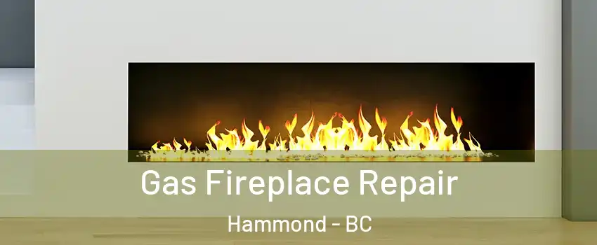 Gas Fireplace Repair Hammond - BC
