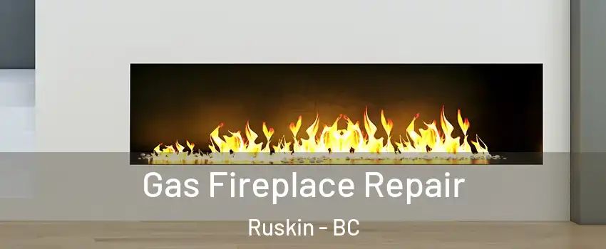  Gas Fireplace Repair Ruskin - BC