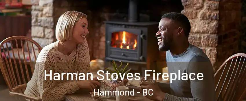  Harman Stoves Fireplace Hammond - BC