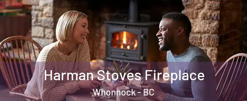  Harman Stoves Fireplace Whonnock - BC