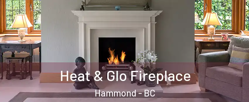  Heat & Glo Fireplace Hammond - BC