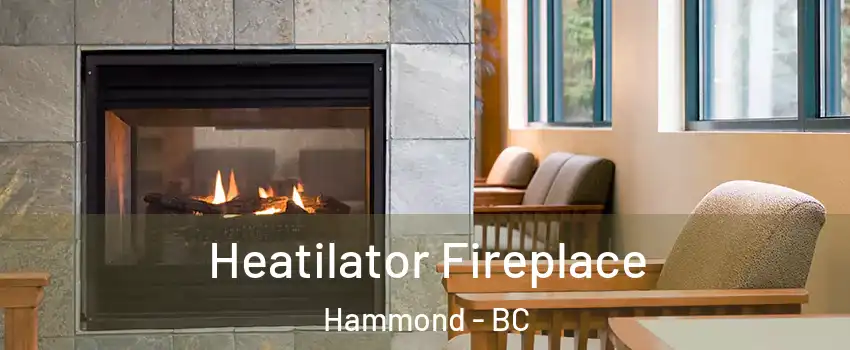  Heatilator Fireplace Hammond - BC