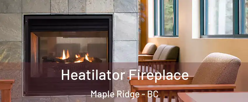  Heatilator Fireplace Maple Ridge - BC