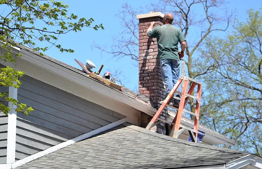 Chimney & Fireplace Inspections Services in Maple Ridge, BC