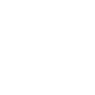 Professional Chimney Flue Installation in Maple Ridge, British Columbia