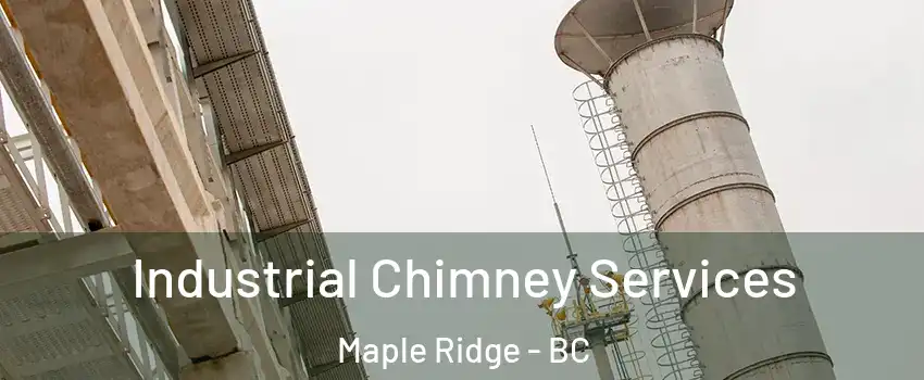  Industrial Chimney Services Maple Ridge - BC