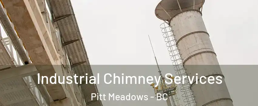  Industrial Chimney Services Pitt Meadows - BC