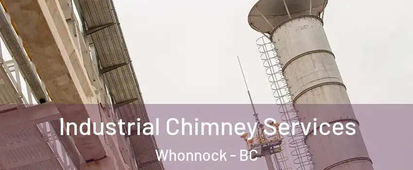  Industrial Chimney Services Whonnock - BC