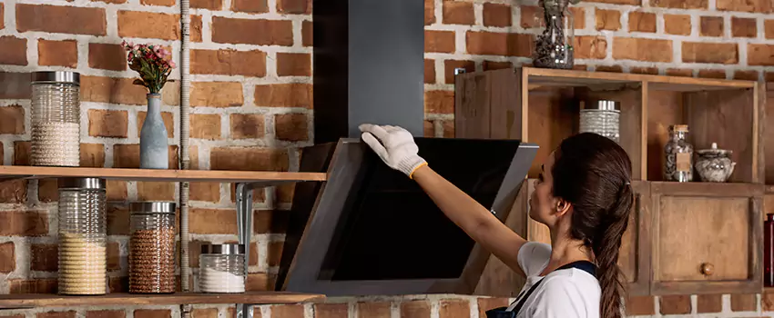 Chimney Installation in Maple Ridge, BC