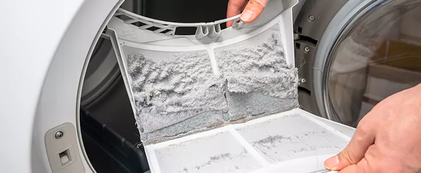 Best Dryer Lint Removal Company in Maple Ridge, British Columbia