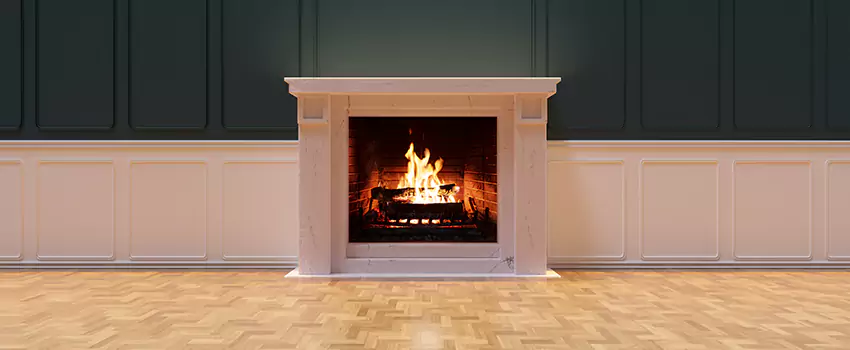 Napoleon Electric Fireplaces Inspection Service in Maple Ridge, British Columbia