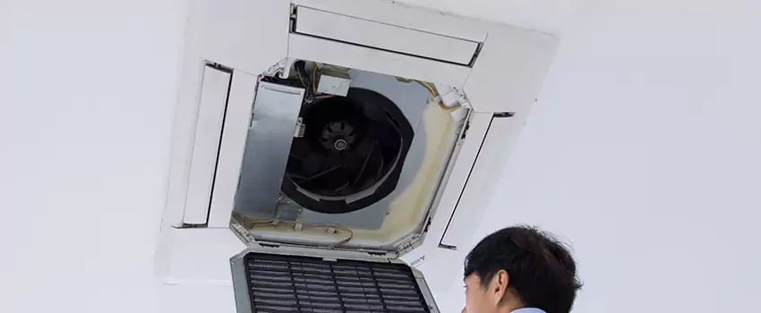 Benefits of Professional Air Duct Cleaning in Maple Ridge, British Columbia
