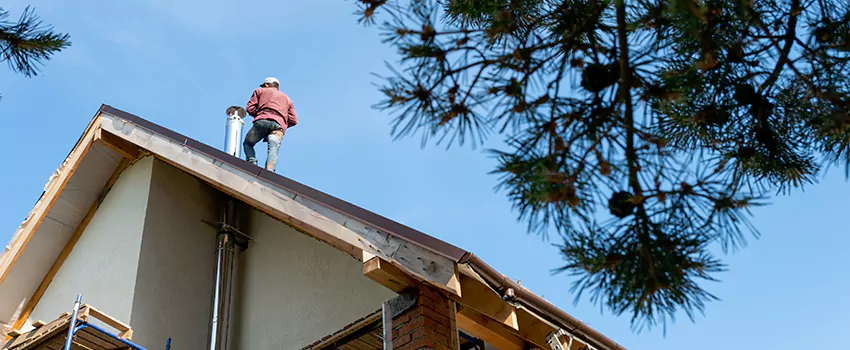 Birds Removal Contractors from Chimney in Maple Ridge, BC