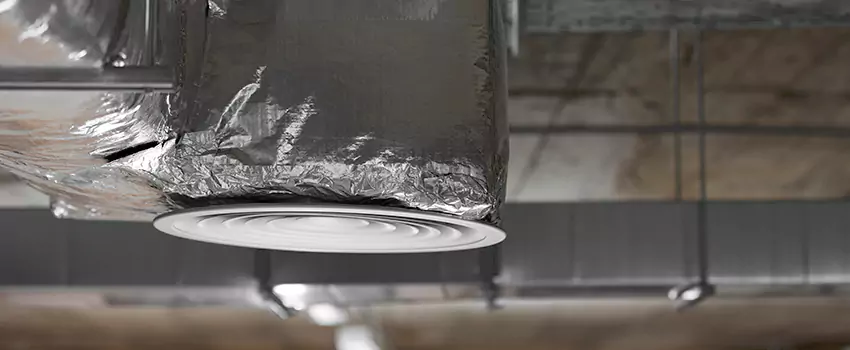 Signs of Dust Accumulation in Vents in Maple Ridge, BC